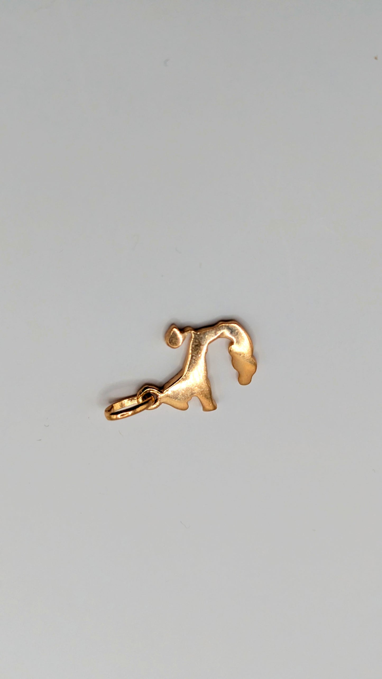Vintage 80's gold toned zodiac Leo french pendant